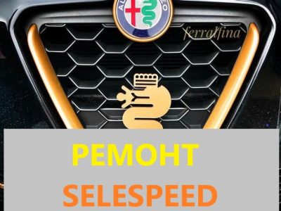 Ремонт роботів Alfa Romeo 147#156 # Selespeed 71739645,71751195,51736315